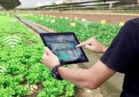 برگزاری دوره‌های آموزش مهارت‌های دیجیتال برای جوانان بوشهر