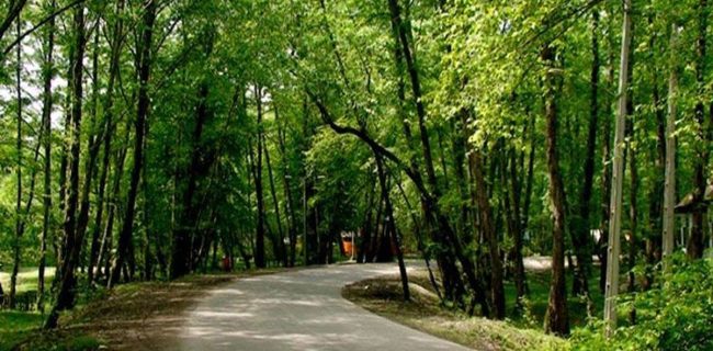 افتتاح فاز جدید پارک جنگلی النگ در گرگان