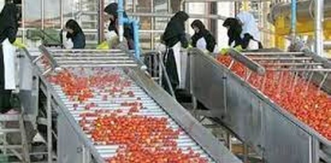 افتتاح کارخانه تولید محصولات کشاورزی در کرمان