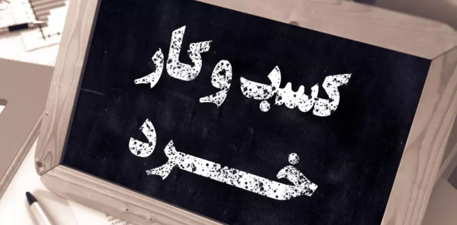 حمایت از کسب‌وکارهای خرد و متوسط برای اشتغال جوانان در چهارمحال و بختیاری