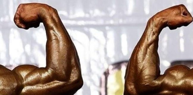 دعوت سه خوزستانی به اردوی بازبینی تیم ملی پرورش اندام دعوت سه خوزستانی به اردوی بازبینی تیم ملی پرورش اندام
