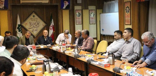 رفعتی: باشگاهها پیش از خرید بازیکن باید مشکلات ورزشگاه را حل کنند