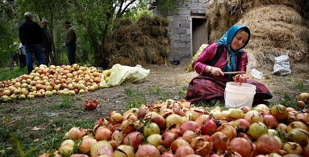 گزارش راهکارهای جایگزین: خوداشتغالی به عنوان سنگ بنای اقتصاد مقاوم روستایی