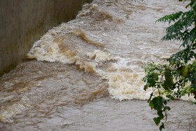 هشدار قرمز سیلاب در جنوب کشور: فعالیت شدید سامانه بارشی از سه‌شنبه تا جمعه در فارس، بوشهر، کرمان و هرمزگان