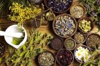 رشد دو برابری کشت گیاهان دارویی در گیلان؛ تمرکز بر گونه‌های مقاوم به خشکی
