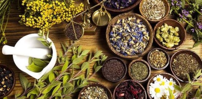 رشد دو برابری کشت گیاهان دارویی در گیلان؛ تمرکز بر گونه‌های مقاوم به خشکی