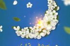 پیاده‌روی حرم حضرت معصومه تا مسجدمقدس جمکران(طریق المهدی)