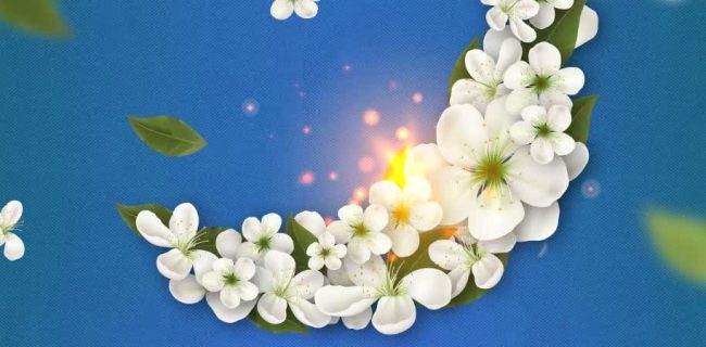 پیاده‌روی حرم حضرت معصومه تا مسجدمقدس جمکران(طریق المهدی)