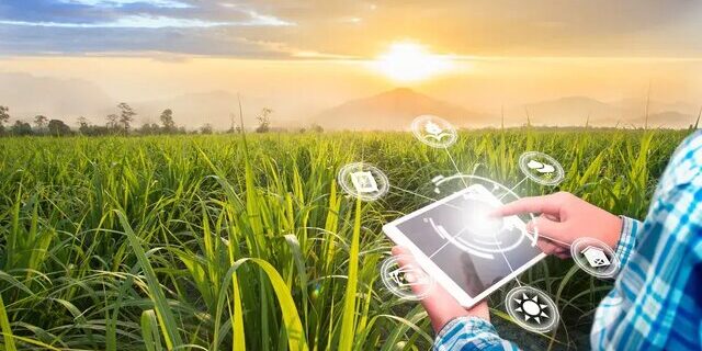ظرفیت استان اردبیل برای تبدیل شدن به هاب ملی کشاورزی هوشمند