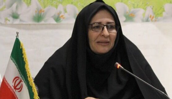 کاهش ۲.۳۳ درصدی طلاق در اردبیل/ایجاد نظامی منسجم برای آموزش خانواده ضرورت دارد