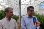 ایلام به الگوی موفق در توسعه کشاورزی مدرن تبدیل می‌شود