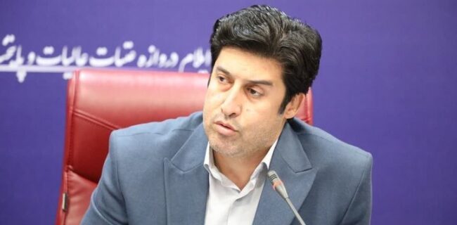 تفسیر قوانین به نفع سرمایه‌گذار شرط اصلی رونق تولید
