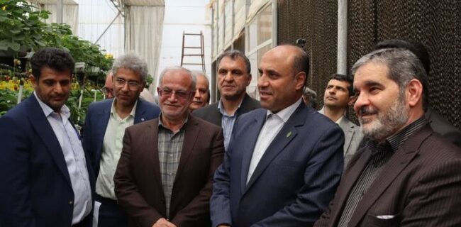 فرماندار : ورامین برای تکمیل پروژههای حیاتی خود به حمایت ویژه اعتباری نیاز دارد فرماندار : ورامین برای تکمیل پروژههای حیاتی خود به حمایت ویژه اعتباری نیاز دارد