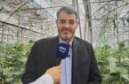 افتتاح ۲۳ پروژه کشاورزی در تهران/ افزایش ۲۵۰۰ تنی تولید افتتاح ۲۳ پروژه کشاورزی در تهران/ افزایش ۲۵۰۰ تنی تولید