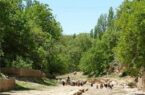 روستای استاد؛ سمفونی زیبا از نواها و نماهای طبیعی در خراسان شمالی