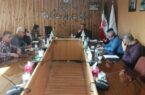 معاون اداره‌کل صمت استان: شناسایی چالش‌ها راه رونق فرش دستباف کردستان را هموار می‌کند