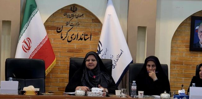 شبکه بانوان کارآفرین و صنعتگر استان کرمان راه‌اندازی می‌شود