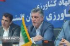 صادرات سیب زمینی بدون محدودیت ادامه دارد؛ تامین کافی گوشت مرغ در گلستان صادرات سیب زمینی بدون محدودیت ادامه دارد؛ تامین کافی گوشت مرغ در گلستان
