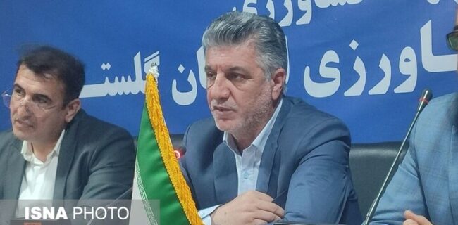 صادرات سیب زمینی بدون محدودیت ادامه دارد؛ تامین کافی گوشت مرغ در گلستان صادرات سیب زمینی بدون محدودیت ادامه دارد؛ تامین کافی گوشت مرغ در گلستان