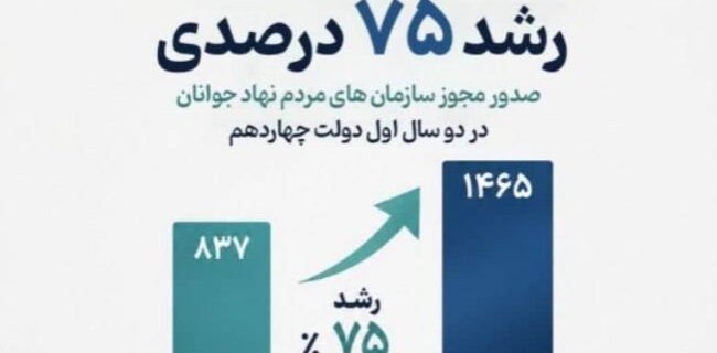  رشد ۷۵ درصدی صدور مجوز سازمان‌های مردم‌نهاد جوانان در دولت چهاردهم