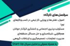 وقتی «تیم» درست شکل بگیره، هیچ مسئلهای بزرگ نیست…