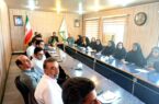 آغاز اجرای طرح «شبکه ملی مزارع الگویی کشاورزی» در ایلام