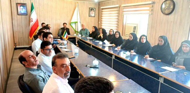 آغاز اجرای طرح «شبکه ملی مزارع الگویی کشاورزی» در ایلام