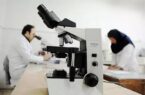 تأکید بر جذب پژوهشگر پسادکتری و توسعه راهبردی در دانشگاه سیستان و بلوچستان تأکید بر جذب پژوهشگر پسادکتری و توسعه راهبردی در دانشگاه سیستان و بلوچستان