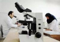 تأکید بر جذب پژوهشگر پسادکتری و توسعه راهبردی در دانشگاه سیستان و بلوچستان